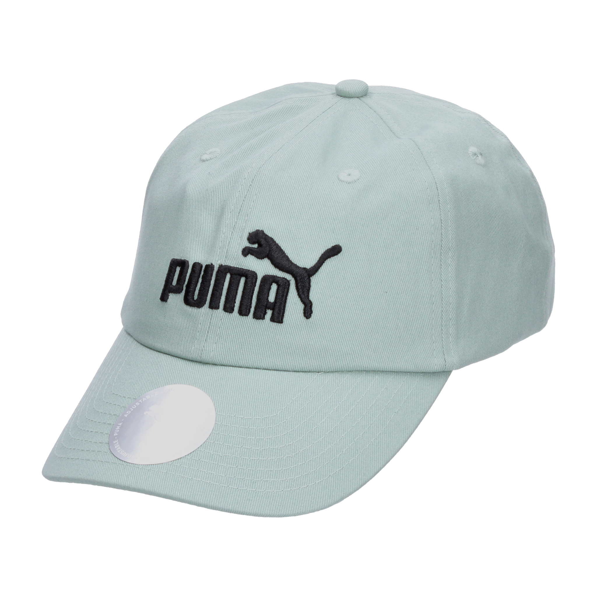 Gorra Puma Essentials No.1. Verde [PUM780]