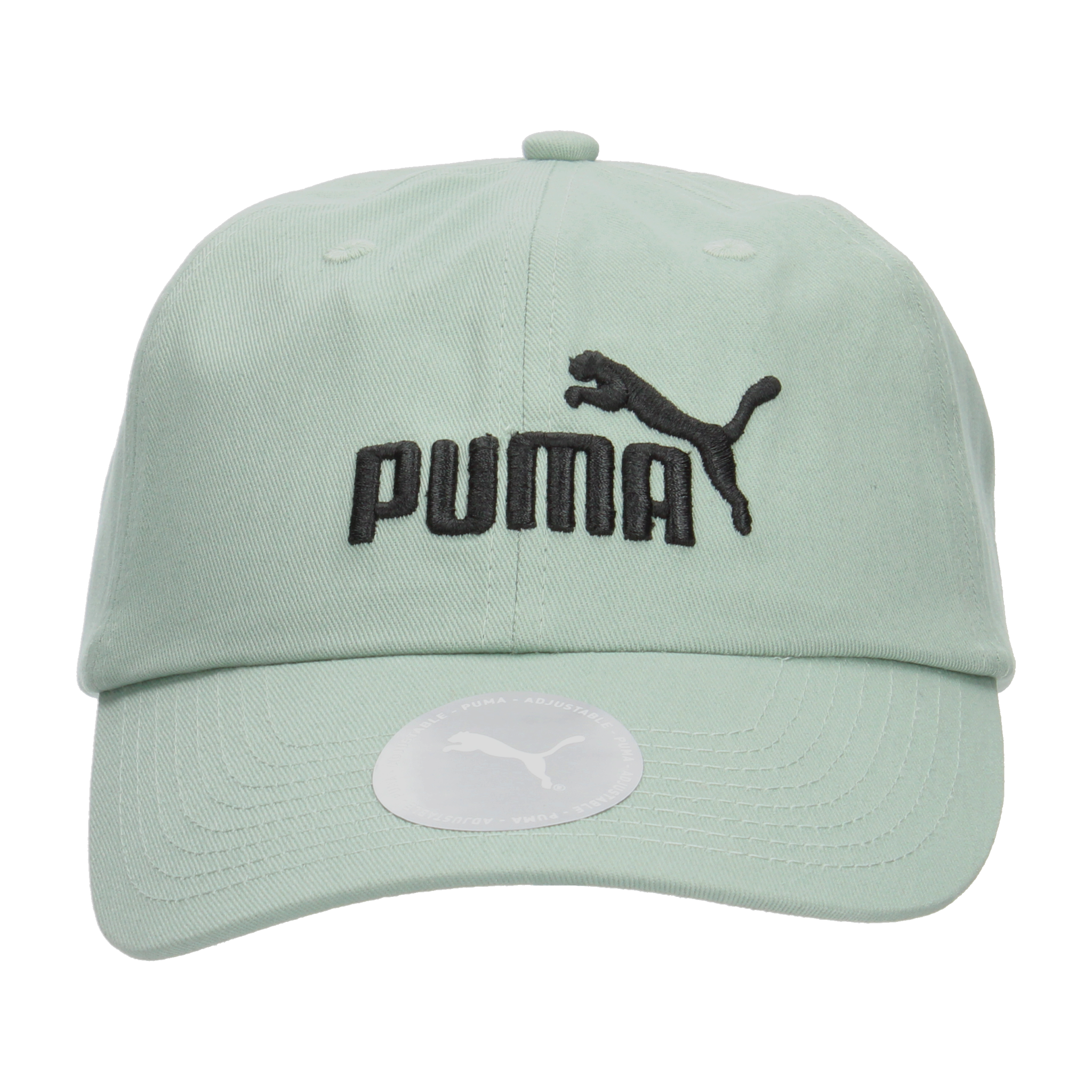 Gorra Puma Essentials No.1. Verde [PUM780]
