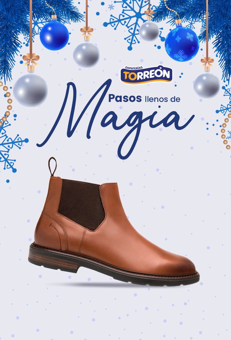 Zapaterias Torreon   CTO911211JL9