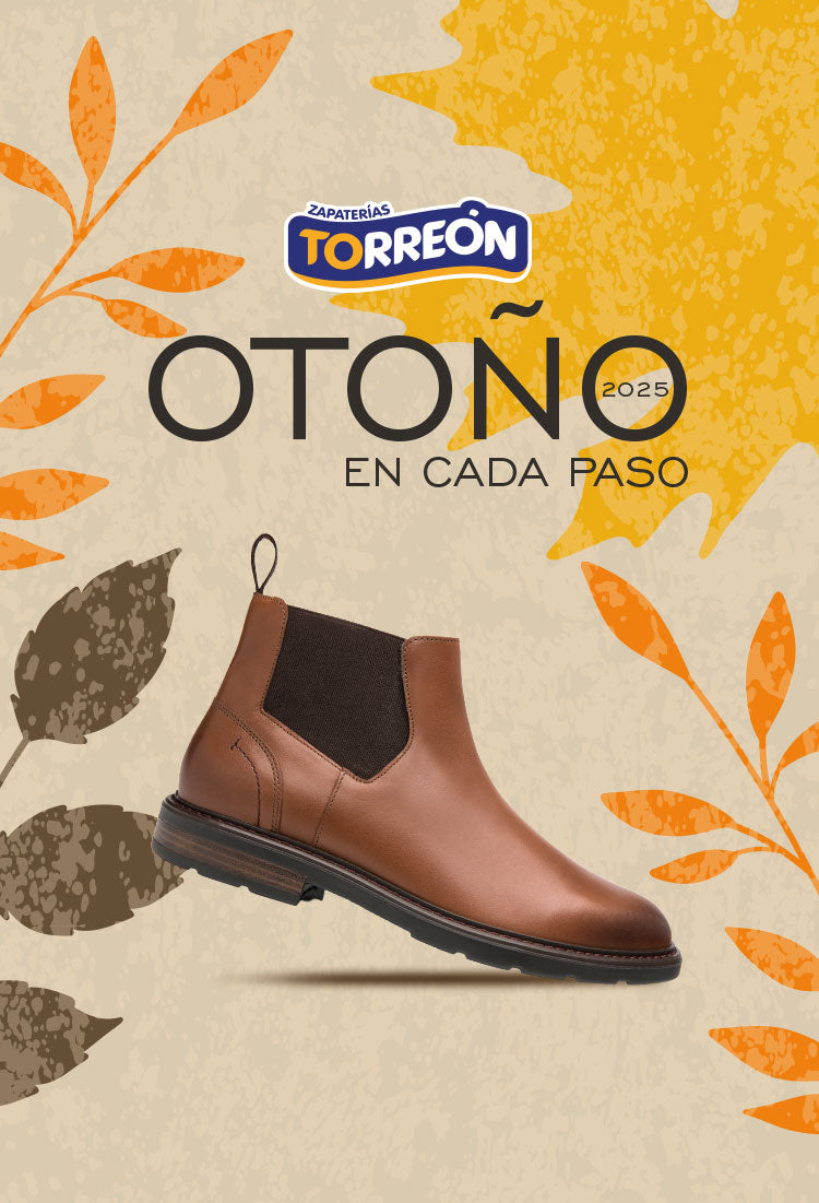 Zapaterias Torreon   CTO911211JL9