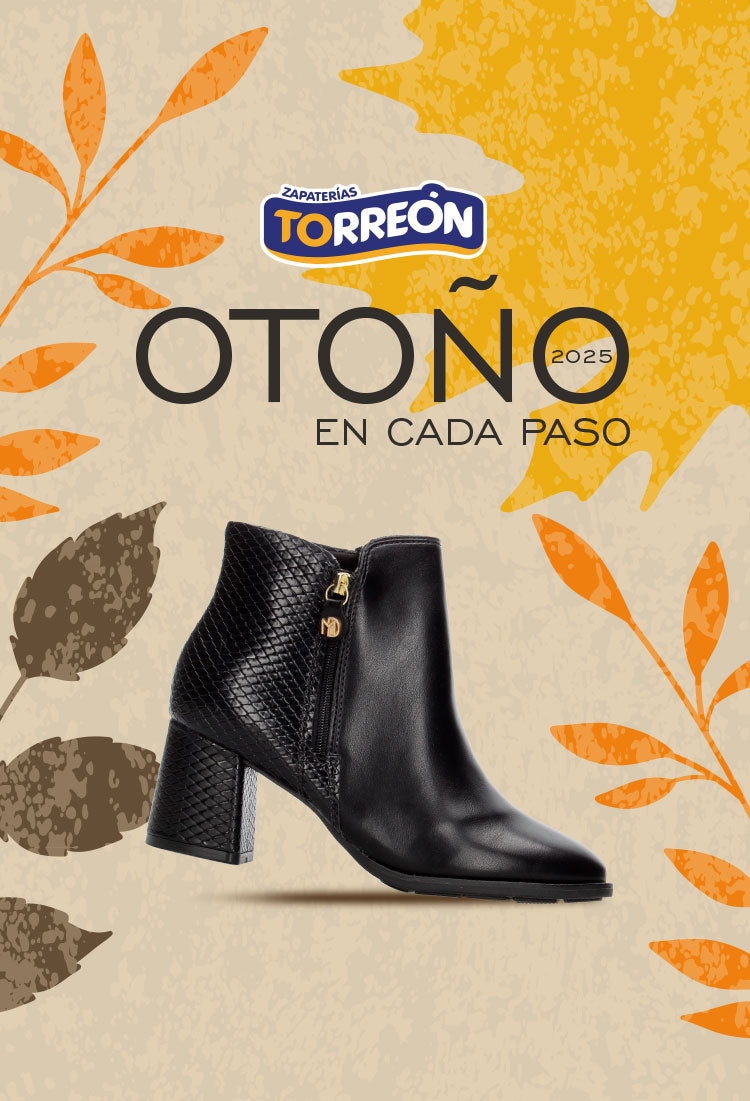 Zapaterias Torreon   CTO911211JL9