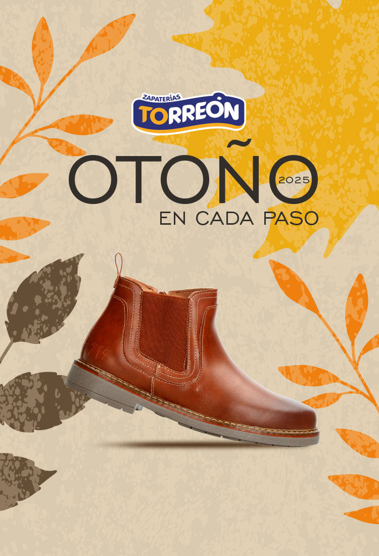 Zapaterias Torreon   CTO911211JL9