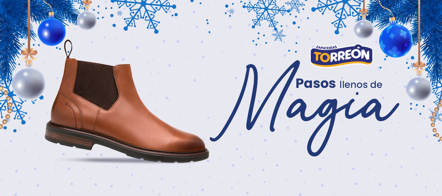 Zapaterias Torreon   CTO911211JL9